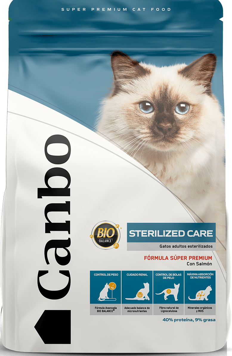 Alimento para gato